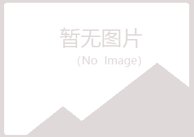 迭部县夏日能源有限公司